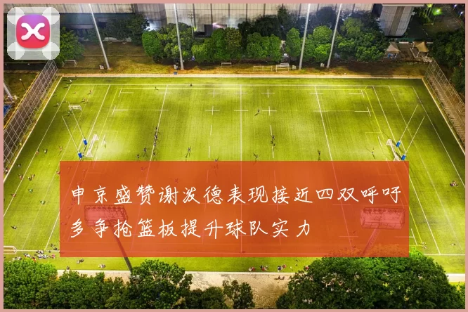 申京盛赞谢泼德表现接近四双呼吁多争抢篮板提升球队实力